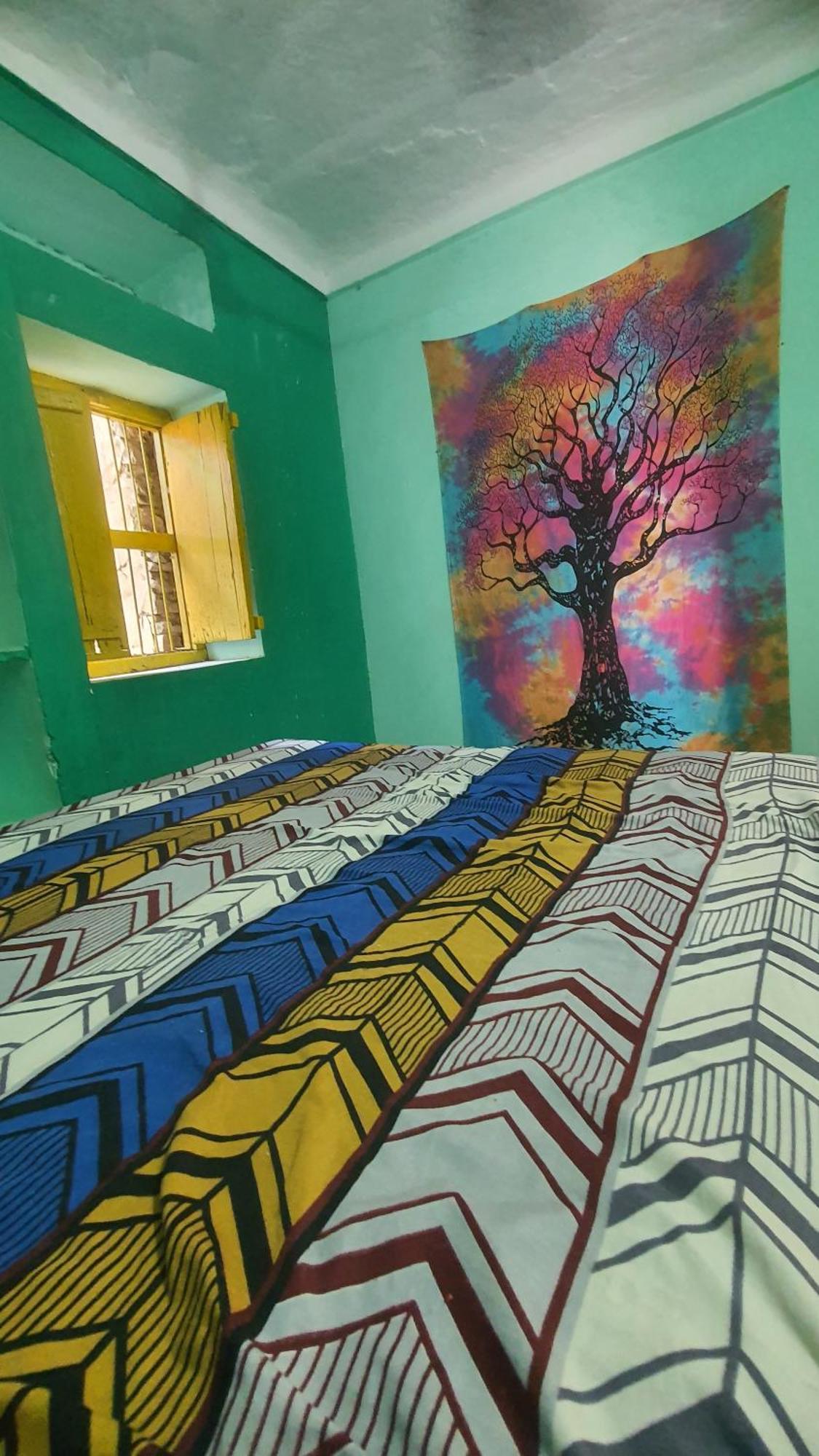 Anand Hostel Pushkar Eksteriør bilde